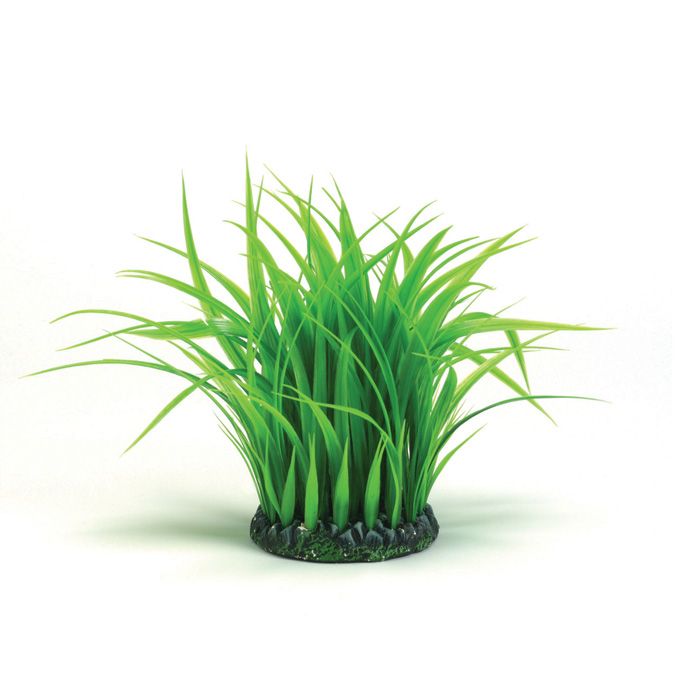 Biorb - Grass Ring Medium