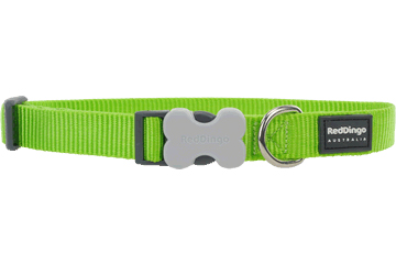 Red Dingo - Classic Lime Green Dog Collar(25)