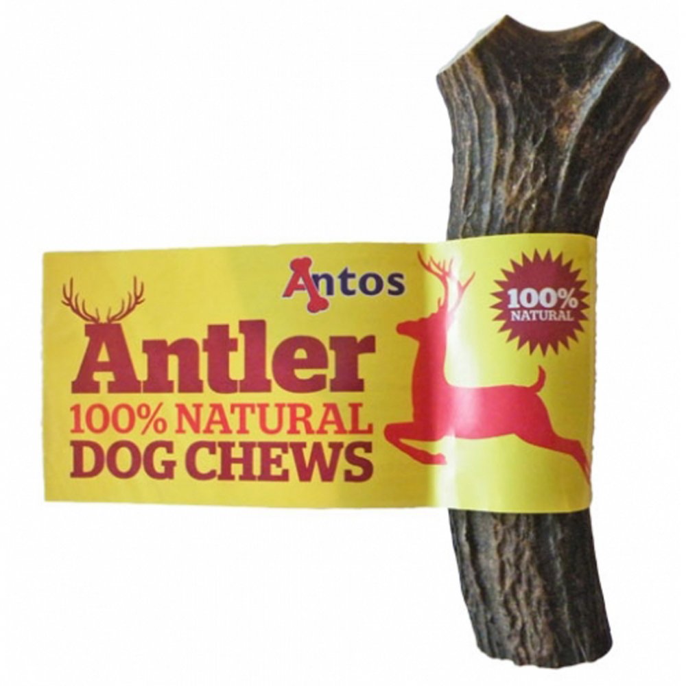 Antler Dog Chews Medium