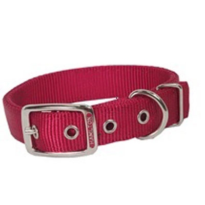Hamilton Dog Collar Red