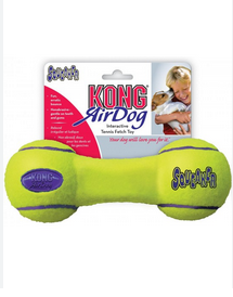 Kong Air Dog