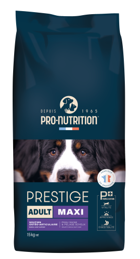 Prestige Maxi Adult