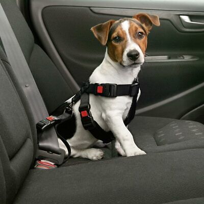 Karlie Safety Belt 