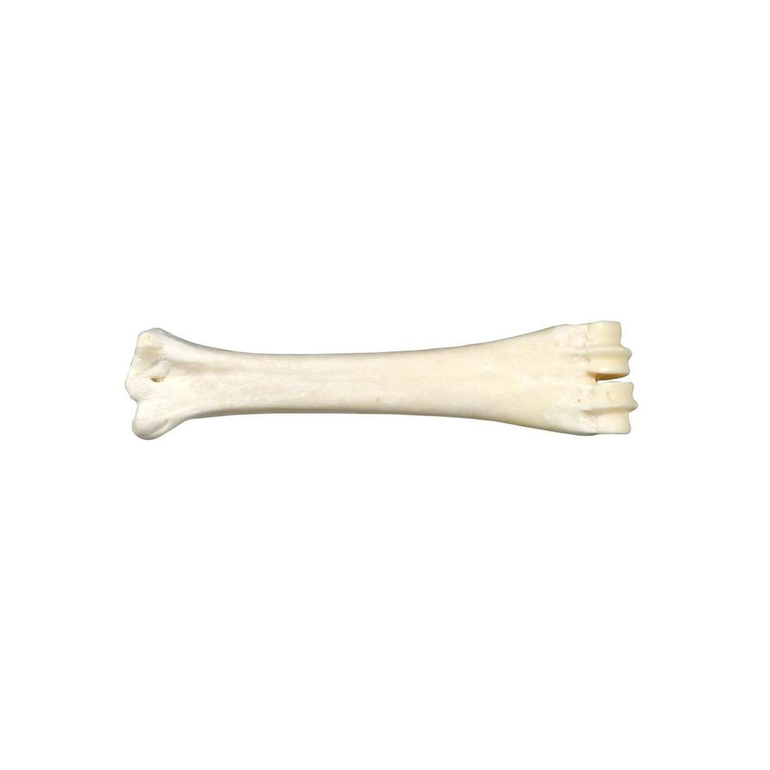 Bubimex Dog Natural White Bone With Calcium