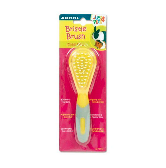 Ancol Bristle Brush For Rodents