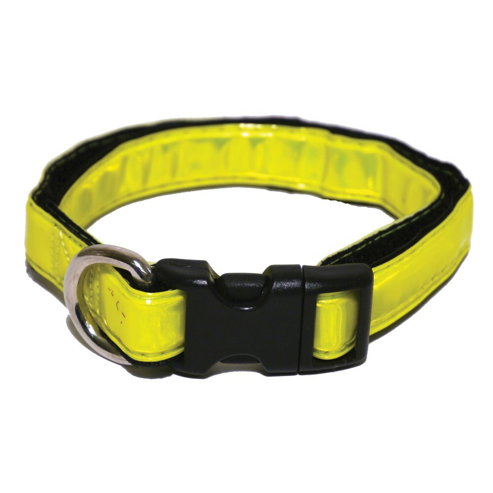 Rosewood Hi-visibility Collar 