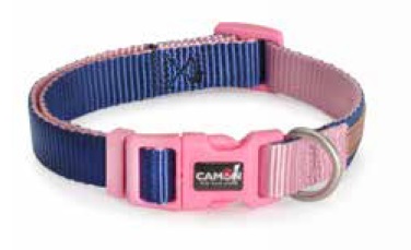 Camon Double Premium Blue and Rose Collar