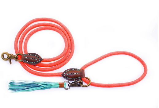 Dog With A Mission - Carrot Cake Dog Leash