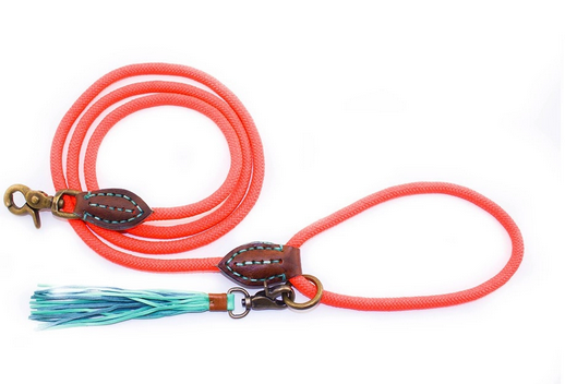 Dog With A Mission - Carrot Cake Dog Leash 