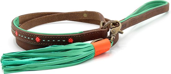 Dog With A Mission - Joplin Dog Leash 