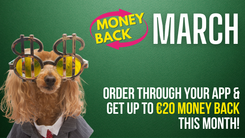 Dog Wearing Money Glasses Text saying Money Back in March