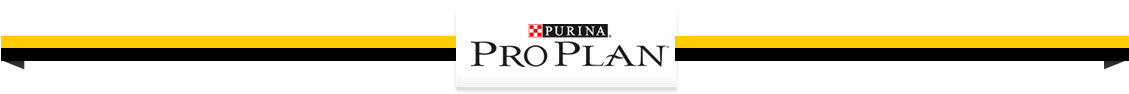 Pro Plan logo top