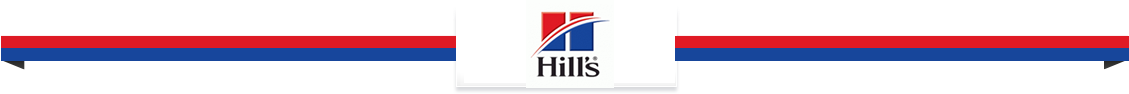 hills logo top