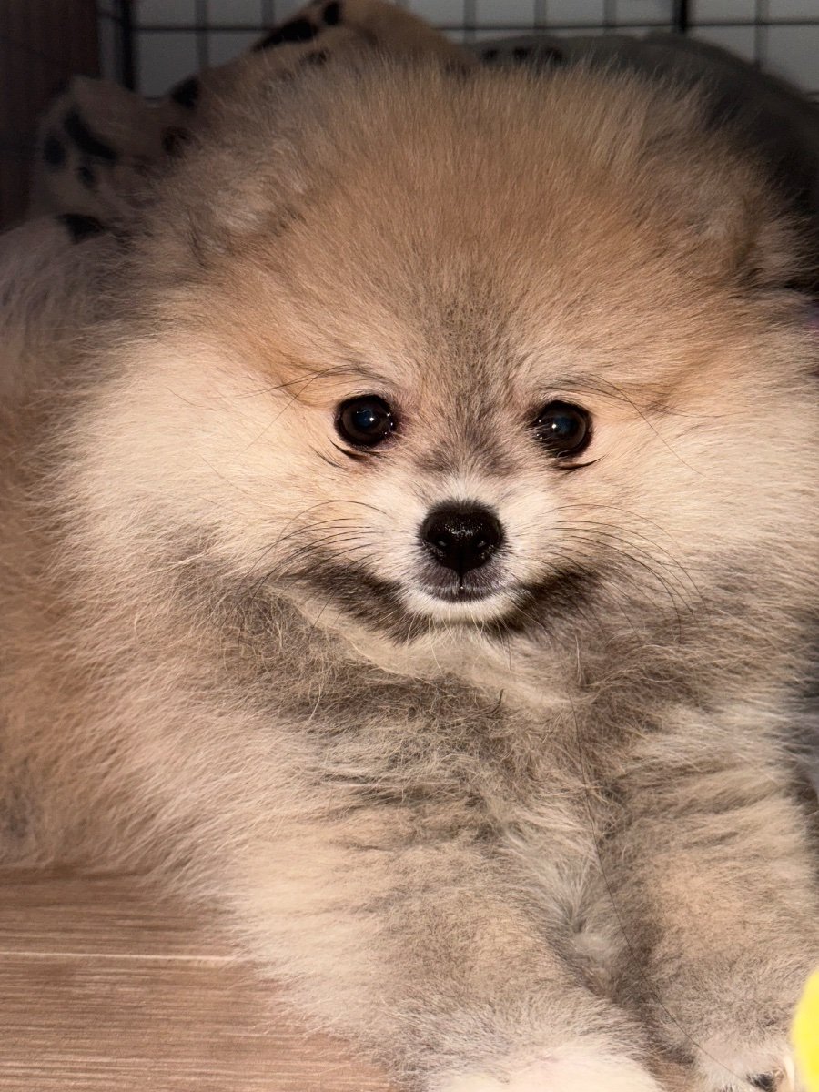 Winnie
