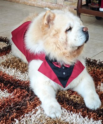 Hachiko