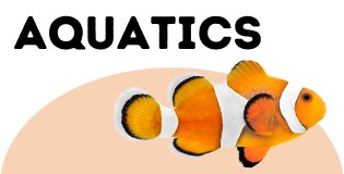 Aquariums