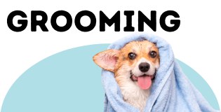 Grooming