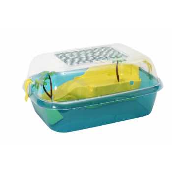 Turtle Tank Daffy 