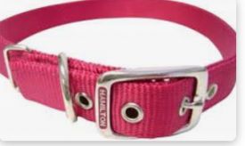 Hamiltone Nylon Deluxe Collar