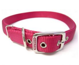 Hamilton Nylon Deluxe Collar Raspberry