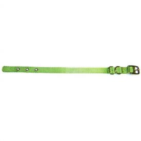 Hamilton  38 Collar Lime 10