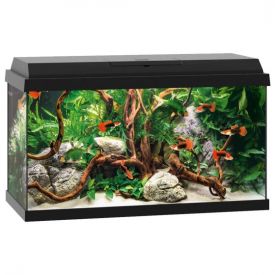 Juwel Aquarium Primo 60