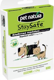 Stay Safe Colar Dog 