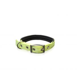 Pet Interest Collar Single Neoprene Metal Buckle Fluoresent Green