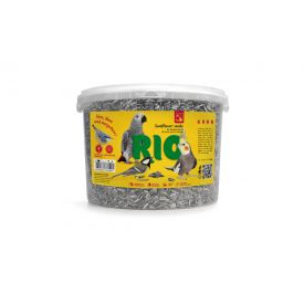 Rio Sunflower Seeds