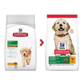Hill's Science Plan Large Breed Puppy Food With Chicken