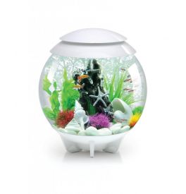 Halo Aquariums