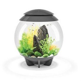Biorb - 30 Litre Halo Grey & Standard Led Light