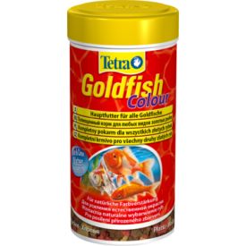 image of Tetra Goldfish Colour
