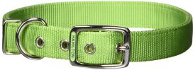 Hamilton Double Thick Nylon Deluxe Dog Collar Lime Green