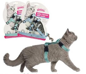 Pawise Cat Harness-leash Green Or Blue