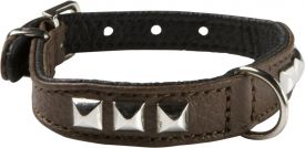 Hunter Collar Leather Rocky Petit Brown/black 1.6cm, 17-21cm