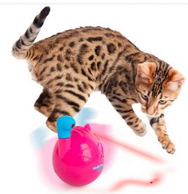 Afp Mordern Cat - Cat Wobble Laser Toy