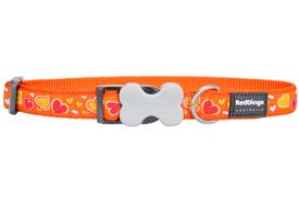 Red Dingo - Breezy Love Orange Dog Collar (12)