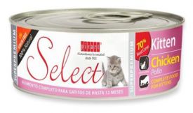Picart Select Cat Wet Kitten