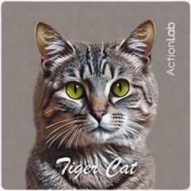 Action Trade Magnet Tiger Cat Grey
