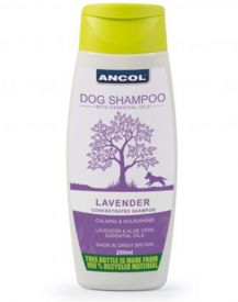 Ancol Shampoo