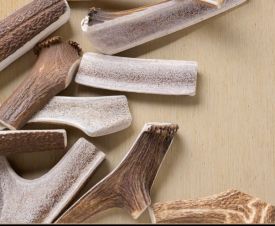 Antlerworld Split Deer Antler Dog Chew