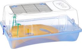 Kleo Turtle Tray Aquaterary With Palm Trees
