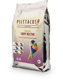 Psittacus Loris Nectar