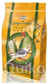 Quiko Prem Parakeets Sunny Greens