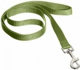 Nobby Leash Classic Pastel Green L: 120 Cm; W: 10 Mm