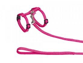 Nobby Dots Cat Set Leash And Harness