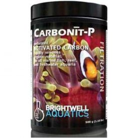 Brightwell Carbonit