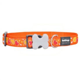 image of Red Dingo Collar Breezy Love Orange Large 2,5 X 63 Cm