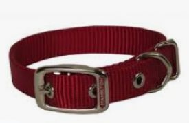Hamilton Dog Collar Red 16